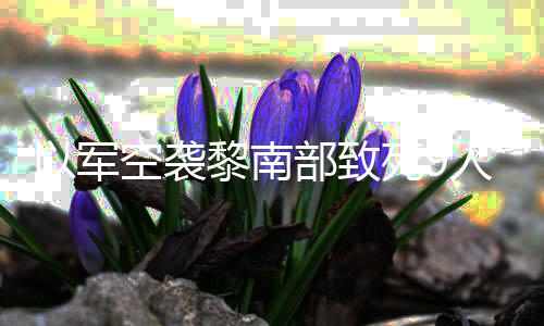 无人火炮回击真主人 党用部致死9以军机和黎南空袭